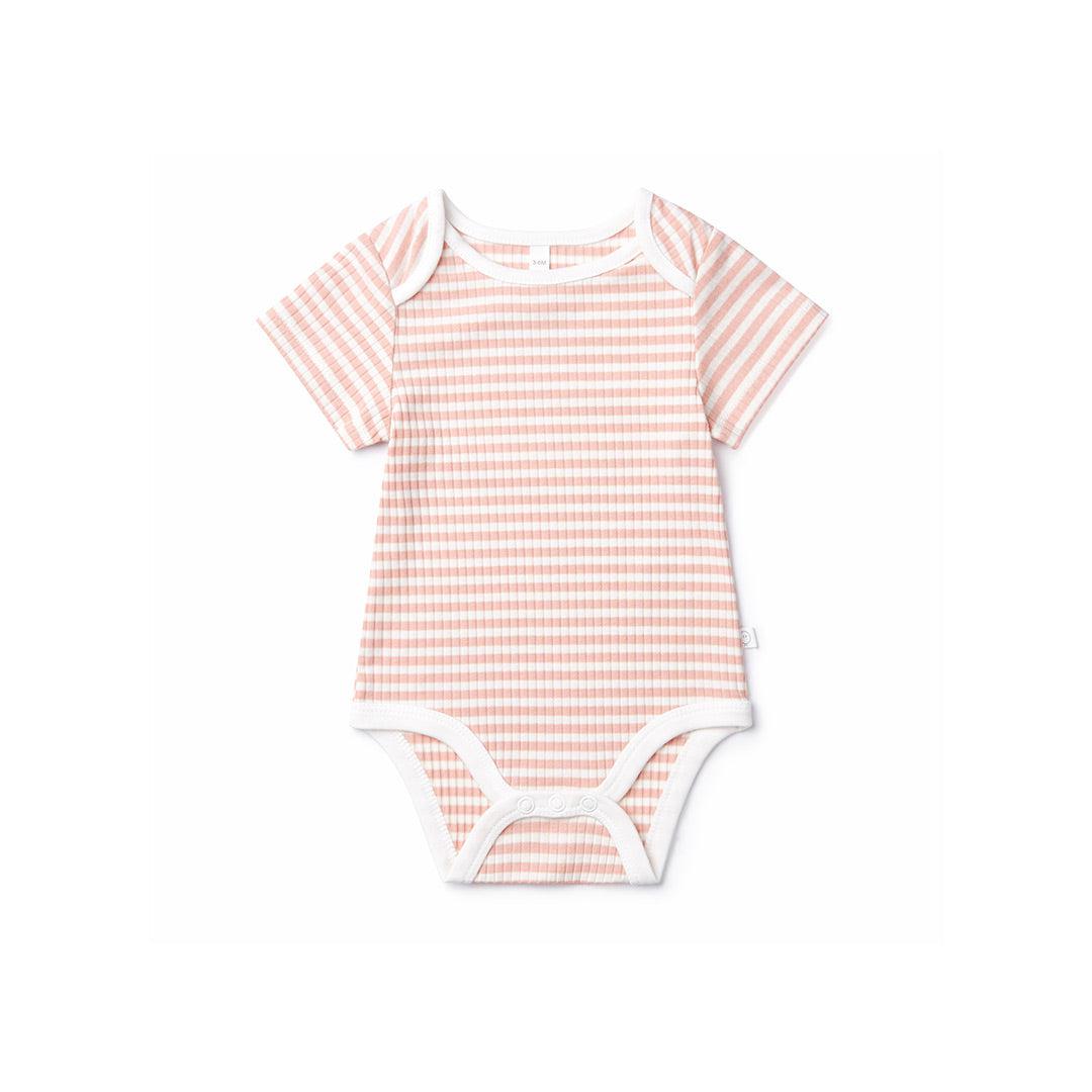 Ribbed Short Sleeve Bodysuit - Pink Stripe